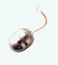 102-014