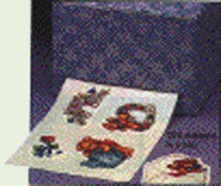 202-051