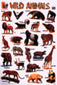 233-008