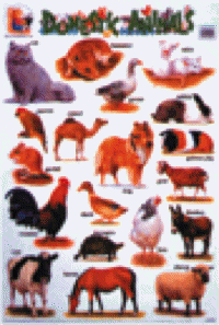 233-009