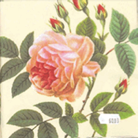 331-172