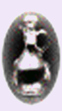 501-031