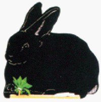 610-023